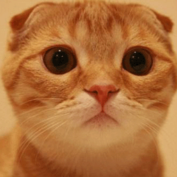 快连官网_快连lets_一键优化您的网络性能快连vp官网免费版访问快连官网-加速器pvn三天试用